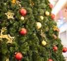 Christmas and New Year Greetings