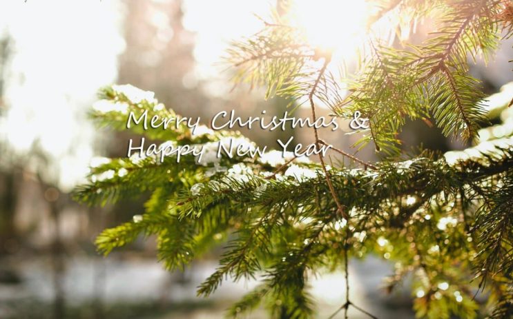 Merry Christmas & Happy New Year